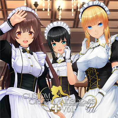 カスタムオーダーメイド3D2&2.5＋ V01