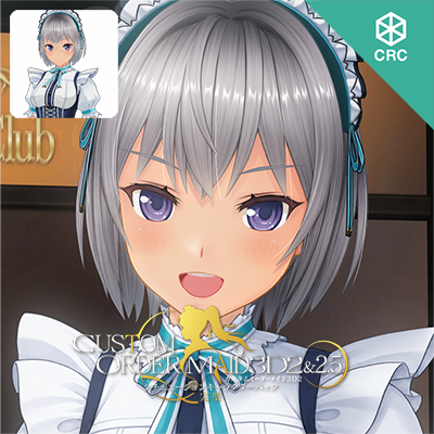 カスタムオーダーメイド3D2&2.5　シチュエーションキャラクターパック　『完璧』ハイポリボディ版